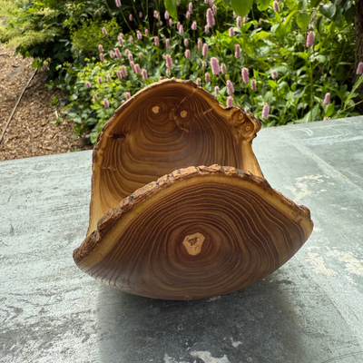 Organic Tray in Rare Trumpet Tree Wood