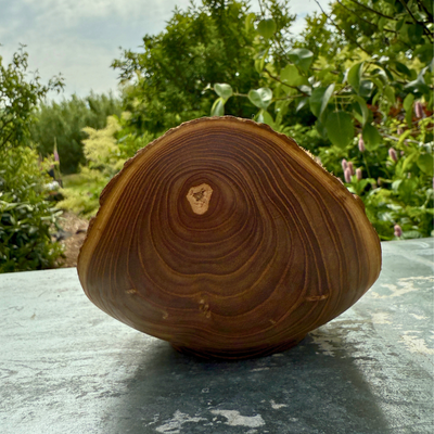 Organic Tray in Rare Trumpet Tree Wood