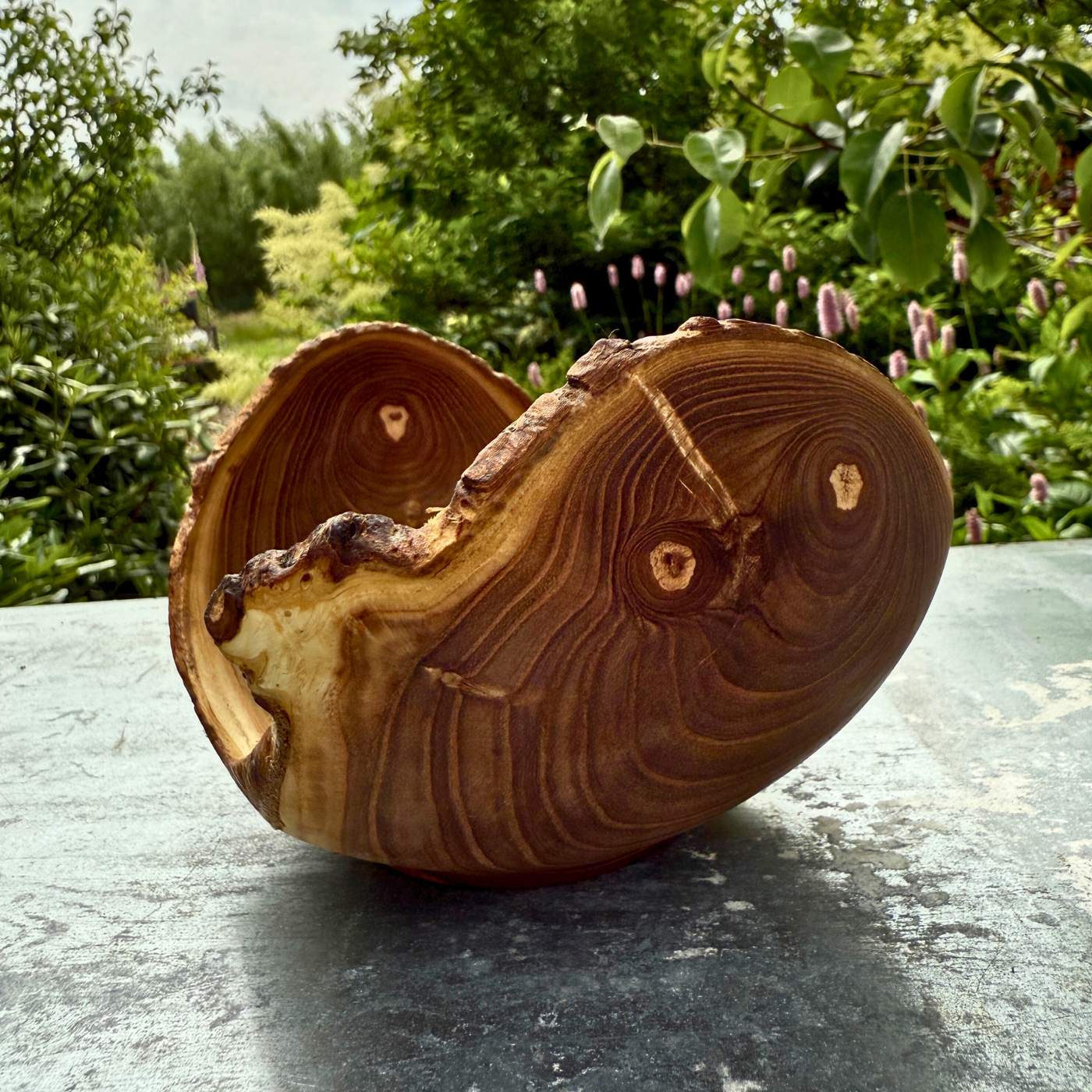 Organic Tray in Rare Trumpet Tree Wood